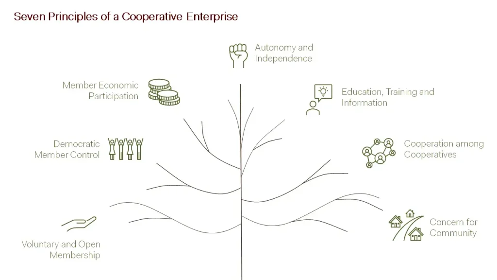 Seven principles of a cooperative enterprise, from the International Cooperative Alliance.