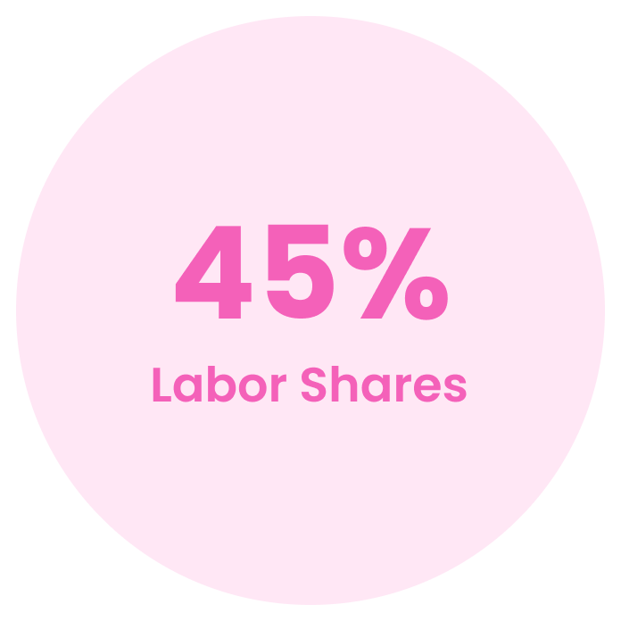 camplight 45 labor shares