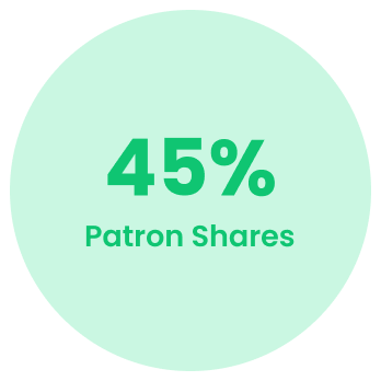camplight 45 patron shares